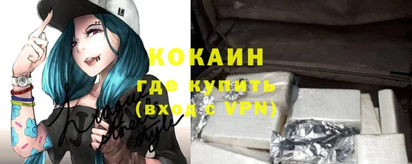 МДПВ Инсар