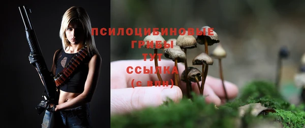 apvp Каменногорск