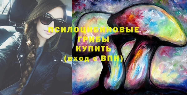 крисы Алексеевка