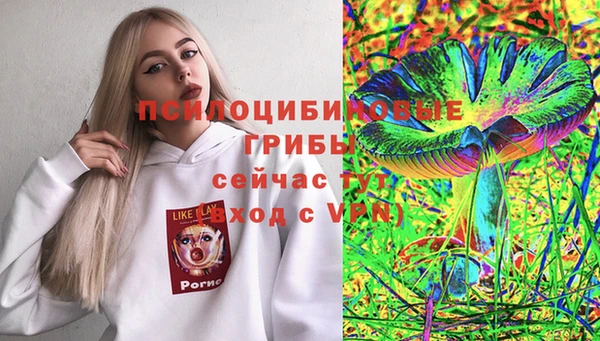 тгк Алзамай