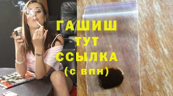 мдпв Каменка
