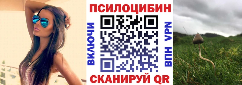 Галлюциногенные грибы Psilocybe blacksprut маркетплейс Калязин